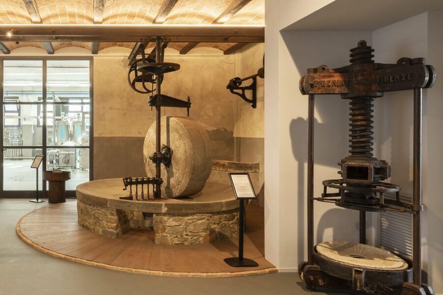 Oil Museum and Mill in Tuscany: interactive tour and tasting - Stage four: the 360-degree film room