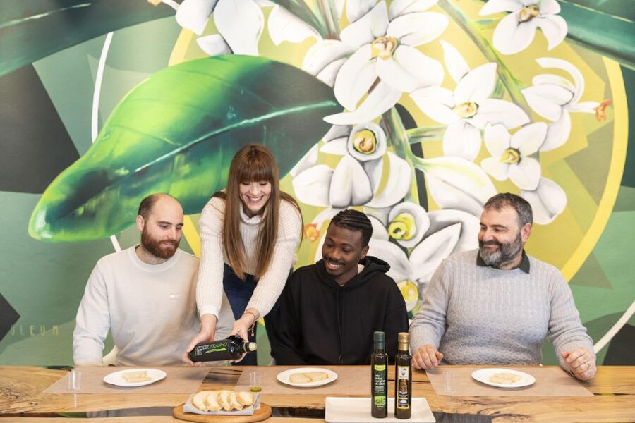 Oil Museum and Mill in Tuscany: interactive tour and tasting - Stage five: learning how to taste extra virgin olive oil