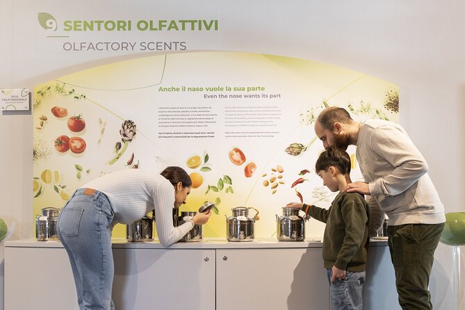 Oil museum and oil mill in Tuscany: tour and tasting - How the $24.03 price fits the experience