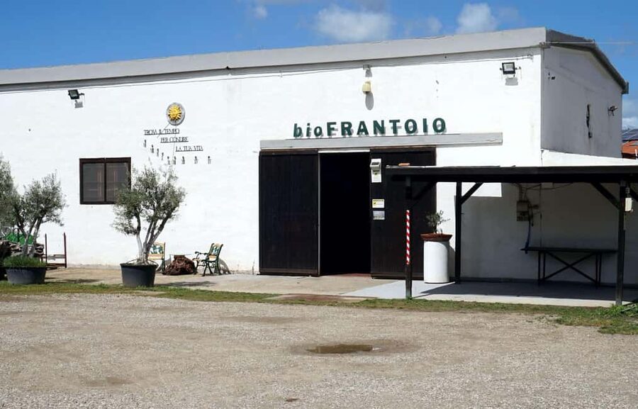 Olive Oil Museum: Extravirgin school - Food & wine tasting - Key points to know before you go