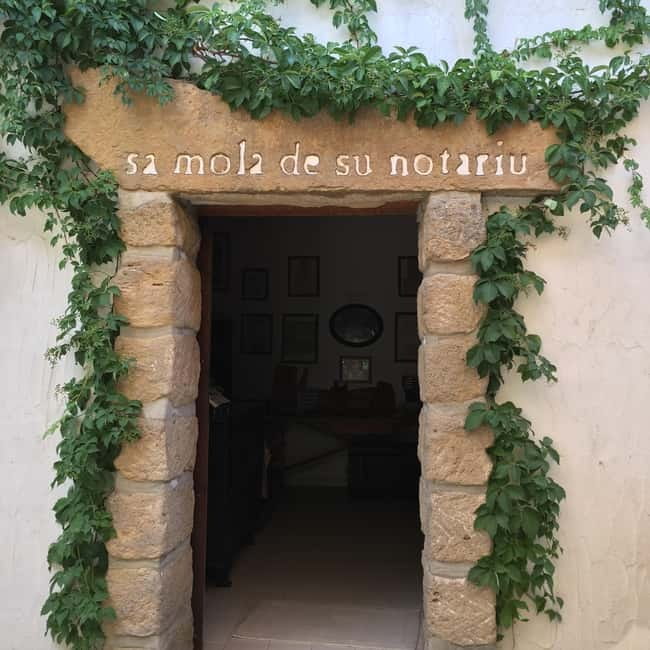 Olive Oil Museum: Extravirgin school - Food & wine tasting - Who will enjoy this experience most