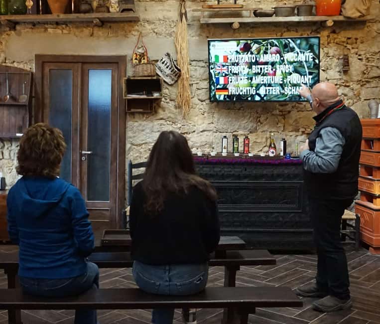 Olive Oil Museum: Extravirgin school - Food & wine tasting - Why this one-hour visit is more than an oil tasting