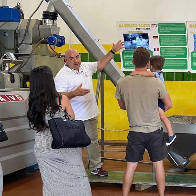 Olive Oil Museum: Extravirgin school - Food & wine tasting - Limolio and Rogo del Tempio: two flavored oils