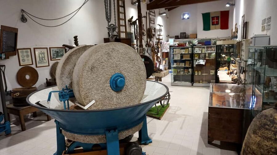 Olive Oil Museum: Extravirgin school - Food & wine tasting - Getting there from Cagliari and what the timing means