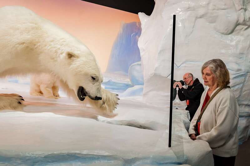 Ottawa: Canadian Museum of Nature Admission - A castle-like museum near Parliament Hill