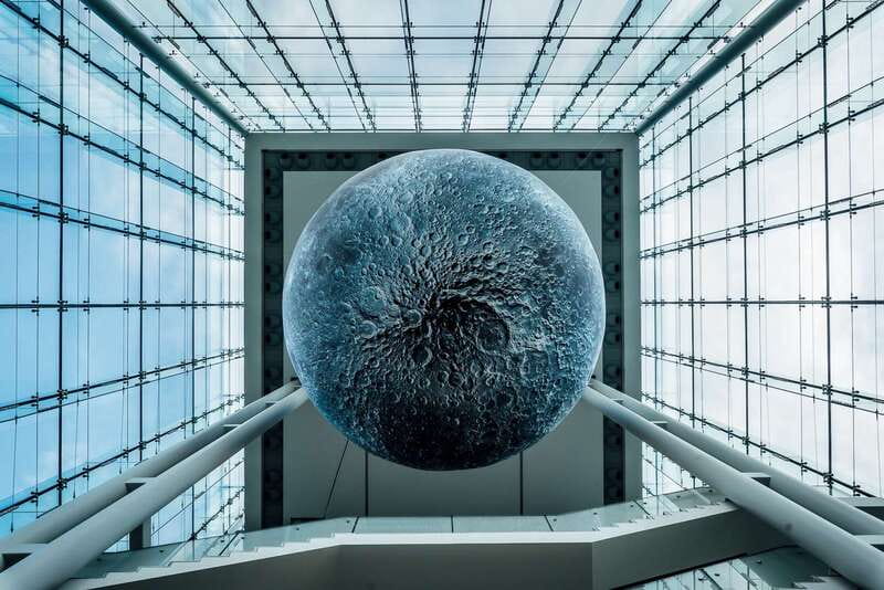 Ottawa: Canadian Museum of Nature Admission - The blue whale and Canada’s living mammals