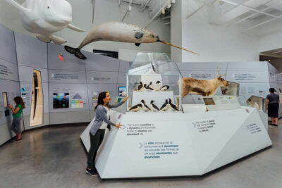 Ottawa: Canadian Museum of Nature Admission