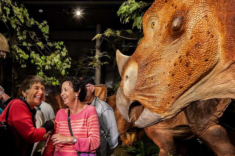 Ottawa: Canadian Museum of Nature Admission - How long should you spend inside?