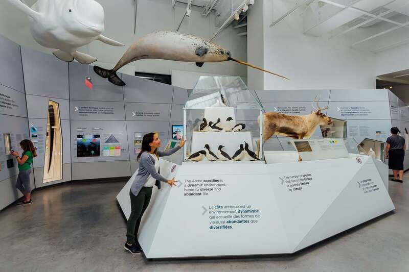 Ottawa: Canadian Museum of Nature Admission - Dinosaurs, fossils, and the scale of ancient life