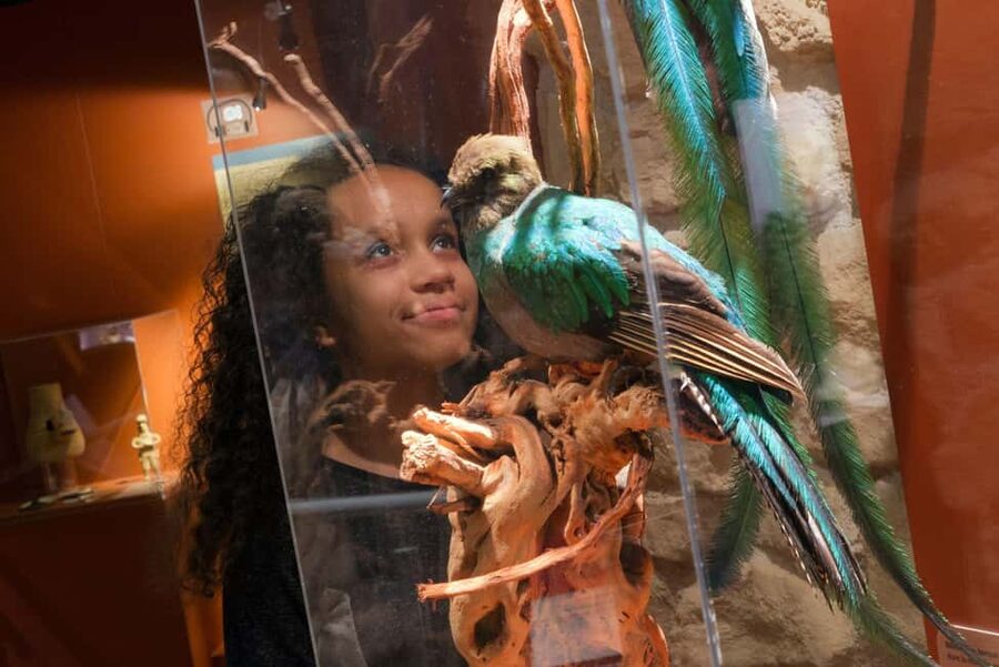 Paris: Entrance Ticket to the Chocolate Museum - The Olmecs, Mayas, and Aztecs: chocolate before Europe