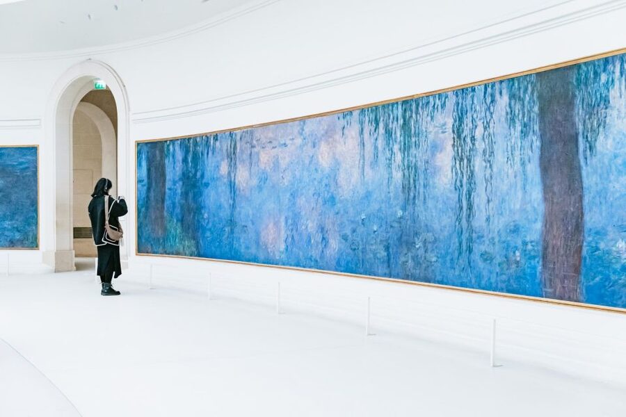 Paris: Orangerie Museum Skip-the-Line Entry and Guided Tour - Monet’s oval rooms and the Water Lilies
