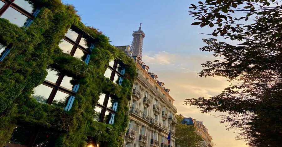 Paris: Quai Branly Museum Ticket & Optional Seine Cruise - Do not skip the garden and green wall