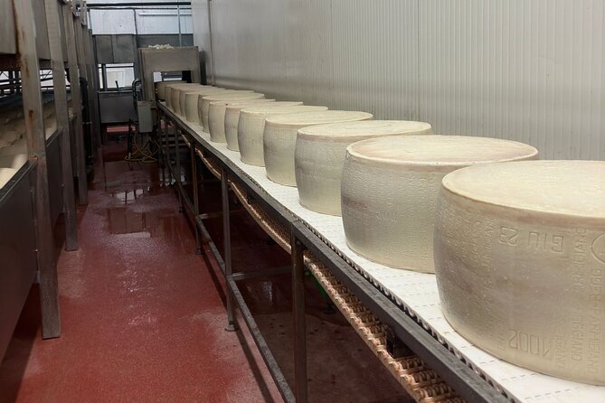 Parmesan and Balsamic Food Tour with Ferrari Museum - At the dairy: how Parmigiano Reggiano becomes a wheel