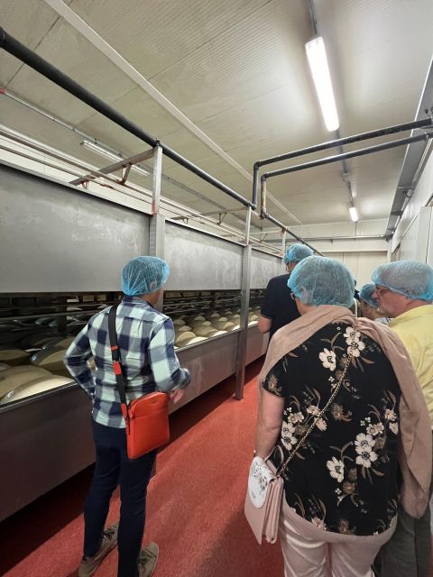 Parmesan and Balsamic Food Tour with Ferrari Museum - Shared transport and group size
