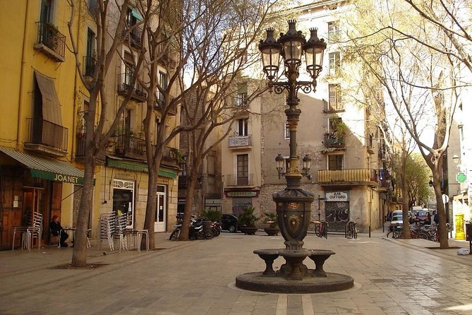 Picasso Museum & Private Walking Tour of Born or Gothic Quarter - Who should book this private Barcelona tour?