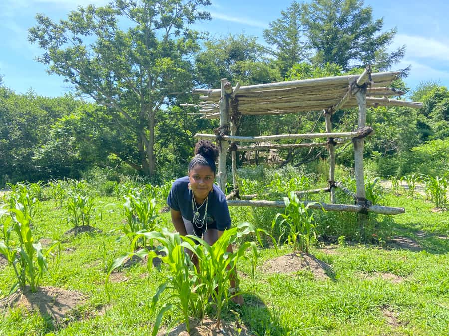 Plymouth: Plimoth Patuxet Museums - 3 tickets available - Why Plimoth Patuxet works better than a standard museum