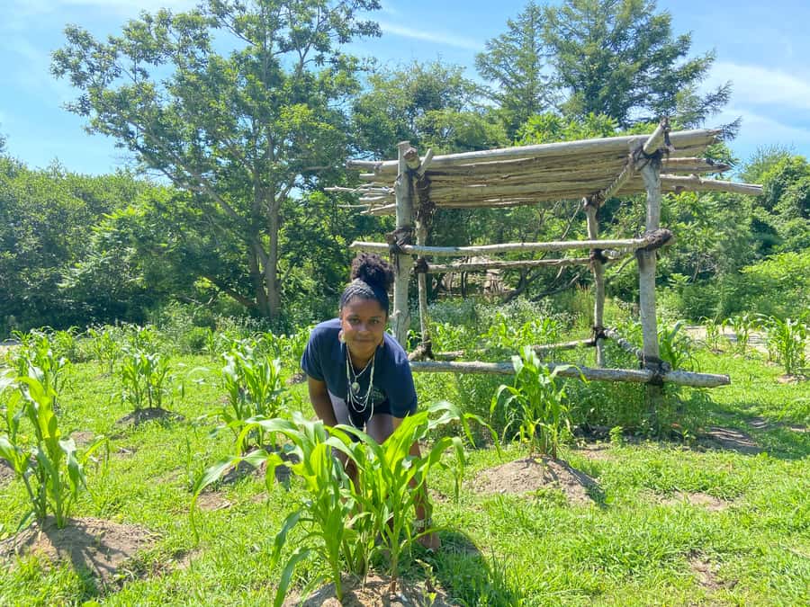 Plymouth: Plimoth Patuxet Museums - 3 tickets available - Plimoth Grist Mill and the mechanics of food