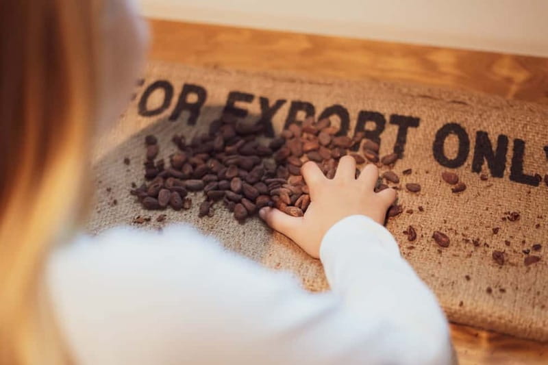 Porto: Chocolate Museum - Unwrap the Secrets of Chocolate - Tasting raw cacao and finished chocolate