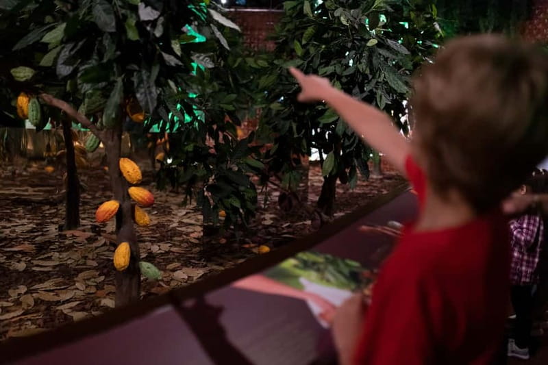 Porto: Chocolate Museum - Unwrap the Secrets of Chocolate - Is $23 a fair price?