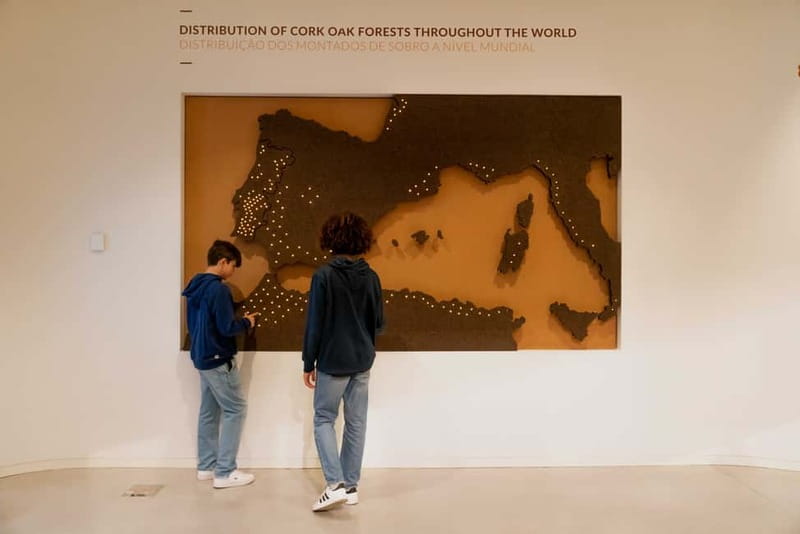 Porto: Cork Museum: Immersive and Perfect for Families - Key points to know before you go