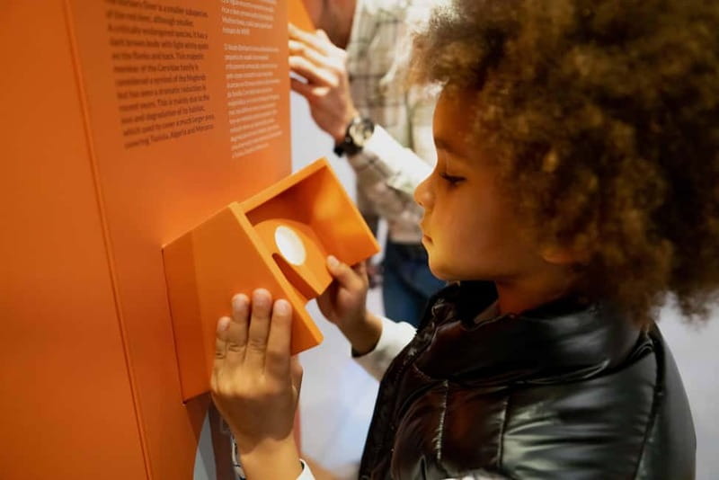 Porto: Cork Museum: Immersive and Perfect for Families - Cork forests and the carbon question