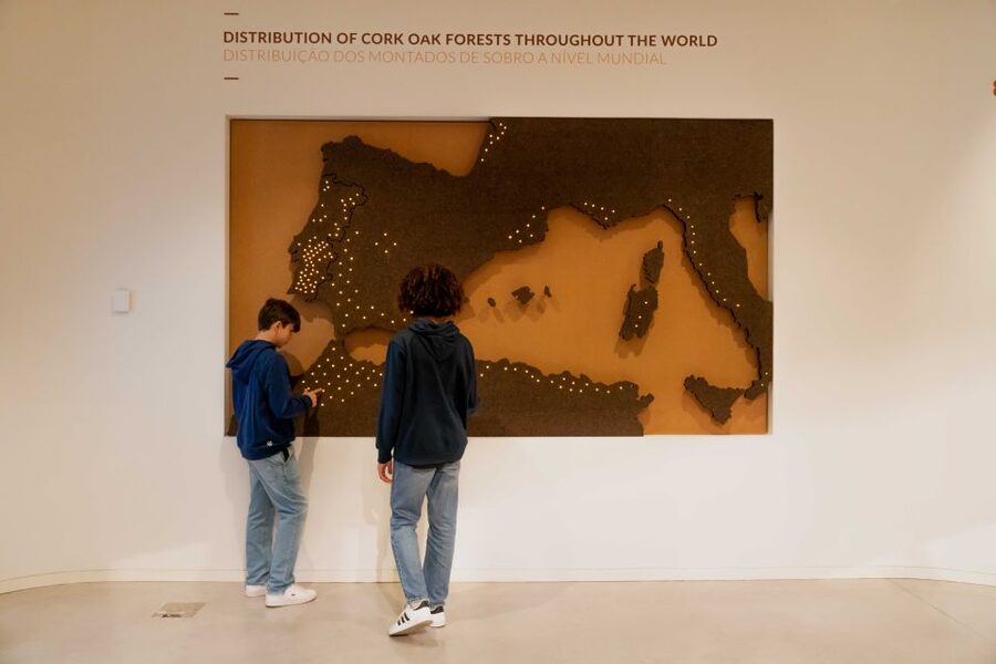 Porto: Cork Museum: Immersive and Perfect for Families - Interactive screens and the audio guide