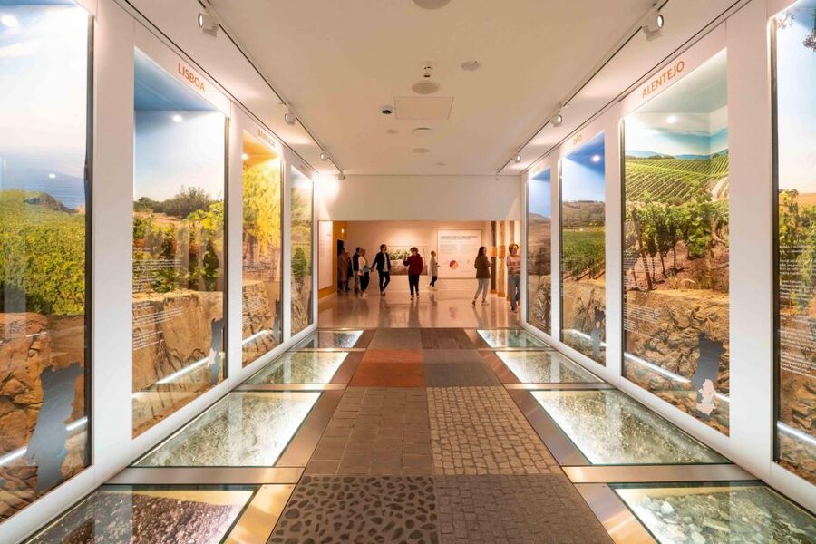Porto: Taylor’s Port Cellar Tour & WOW Museum Pack - Key points to know before booking