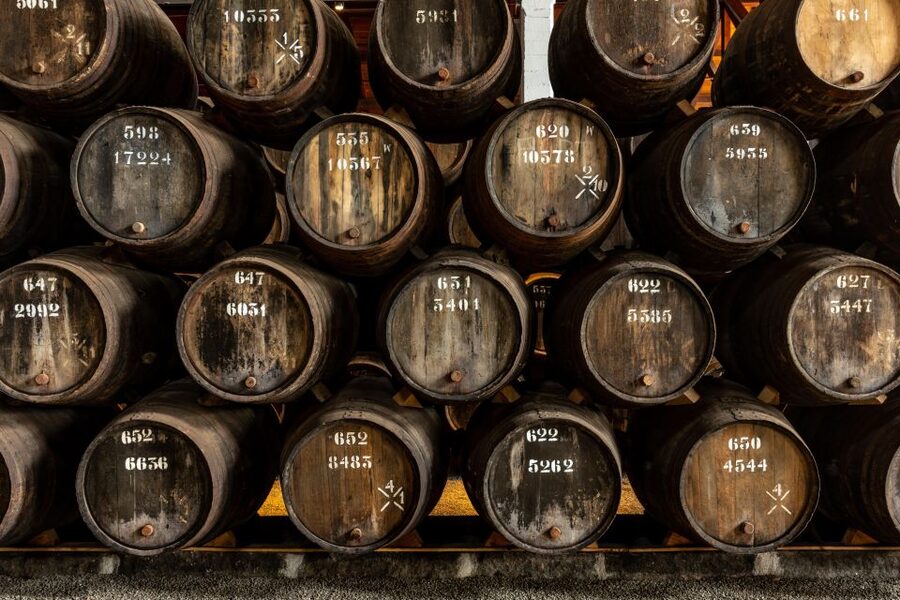 Porto: Taylor’s Port Cellar Tour & WOW Museum Pack - Who should book this experience?