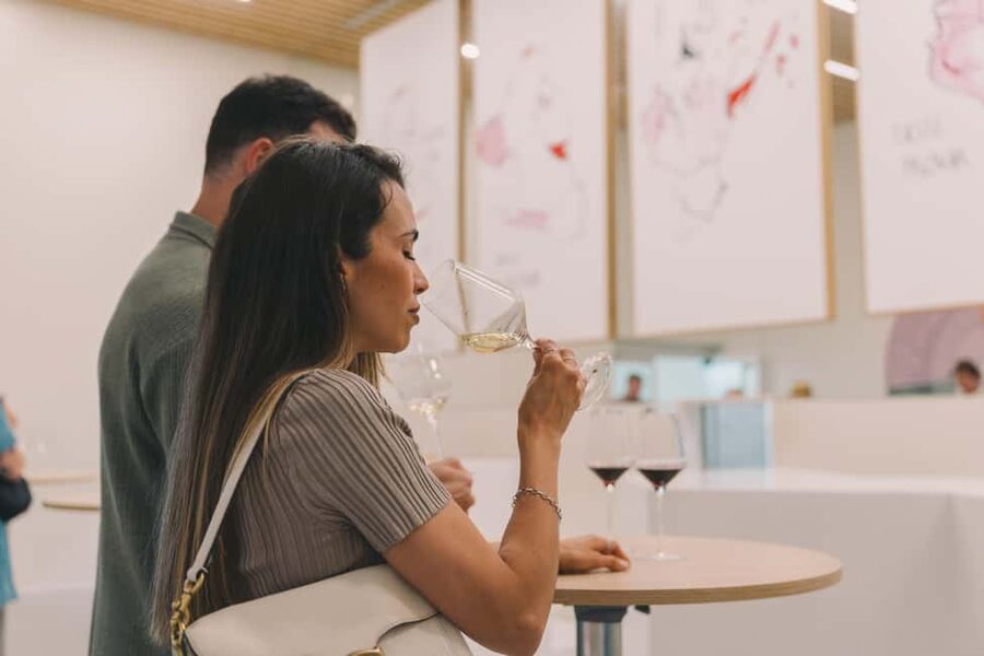 Porto: The Wine Experience, Best Wine Museum in the World - Who will enjoy this most?