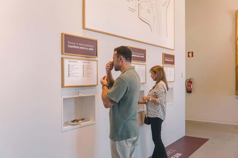 Porto: The Wine Experience, Best Wine Museum in the World - What The Wine Experience is really about