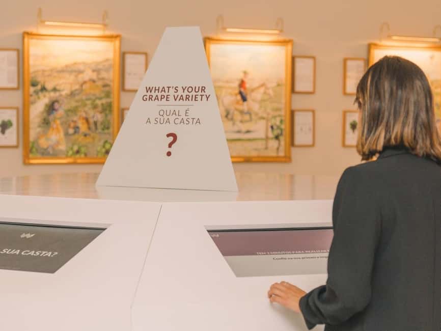 Porto: The Wine Experience, Best Wine Museum in the World - Following the grape through production