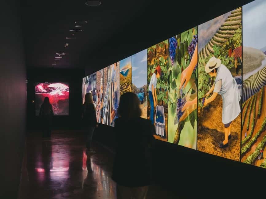 Porto: The Wine Experience, Best Wine Museum in the World - Portugal’s wine regions in one visit
