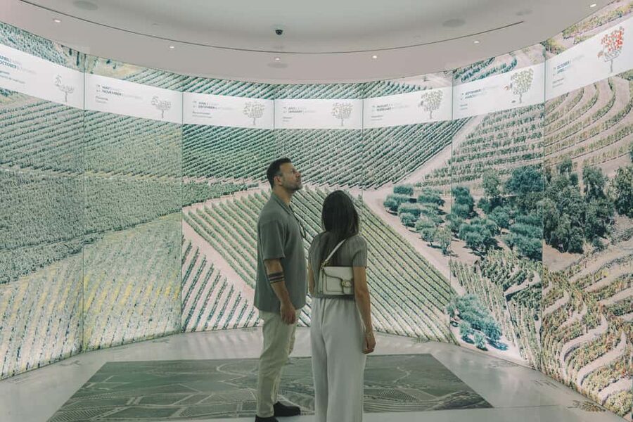 Porto: The Wine Experience, Best Wine Museum in the World - How long should you allow?