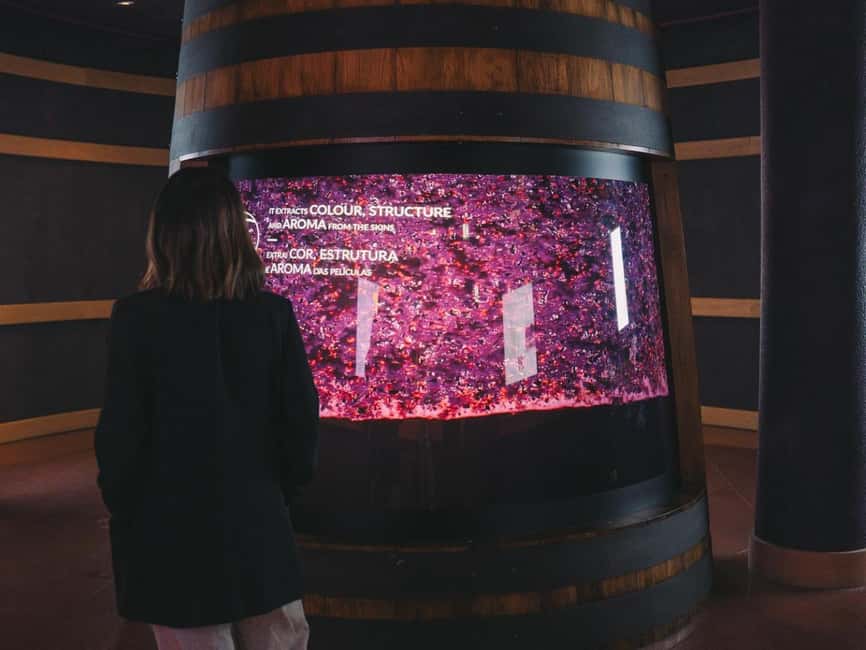 Porto: The Wine Experience, Best Wine Museum in the World - Is the $29 price fair?