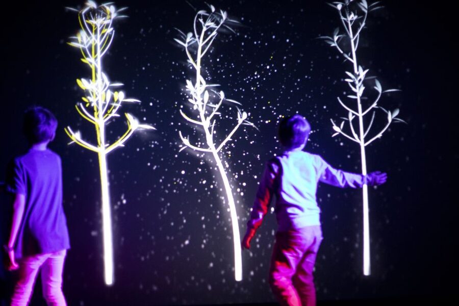Prague: Ticket to Audiovisual Light Art at Lumia Gallery - Access, Staff, and Getting There