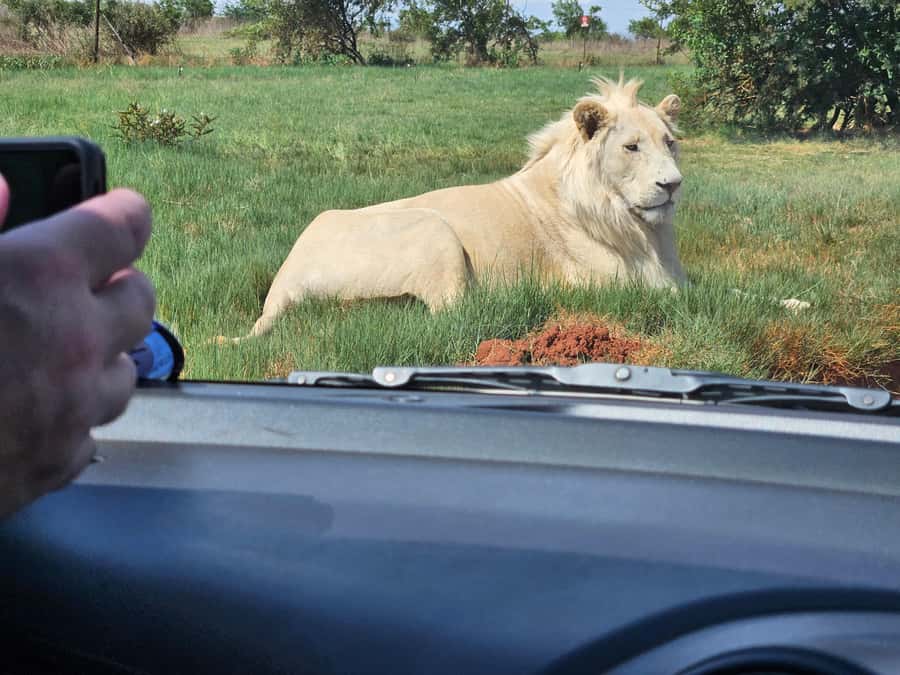 Private Rhino and Lion Park, Cradle Caves or Maropeng Museum - FAQ
