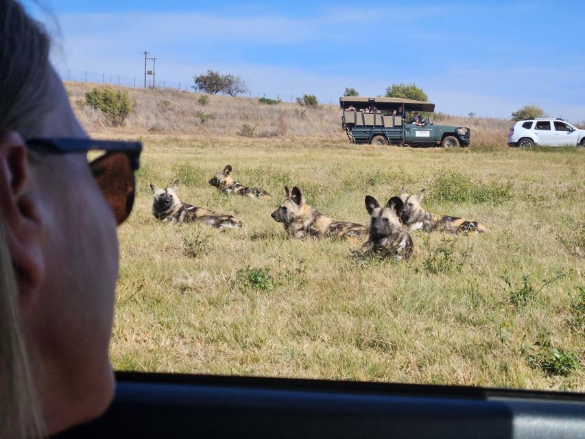 Private Rhino and Lion Park, Cradle Caves or Maropeng Museum - Is $87 a good value?