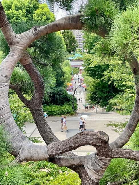 Private Tour Through the Tokyo National Museum & Ukiyo-e - The history connects the stops