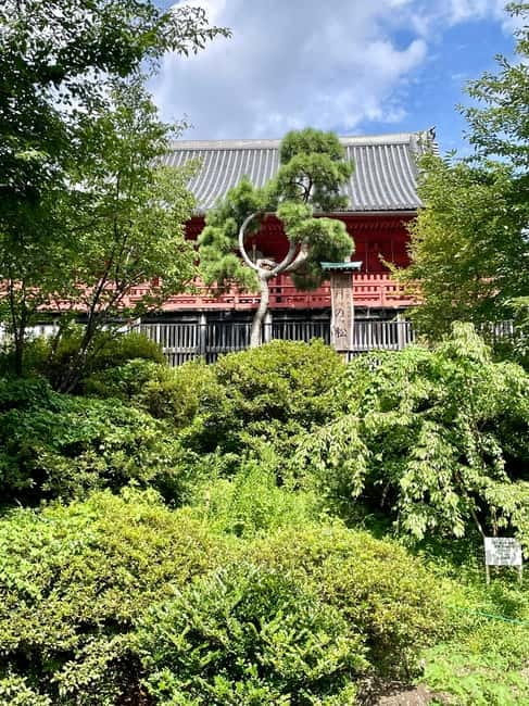 Private Tour Through the Tokyo National Museum & Ukiyo-e - Who should book this Ueno tour
