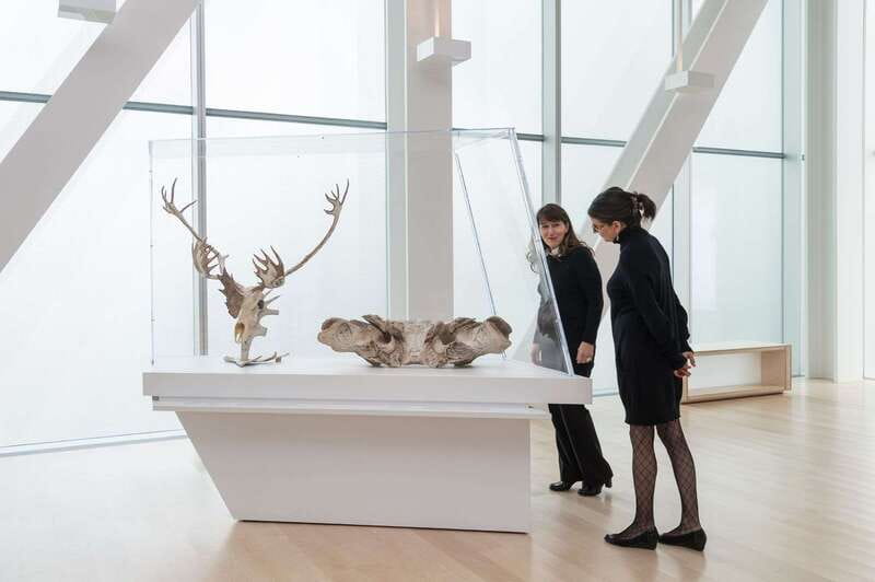 Quebec City: MNBAQ National Fine Arts Museum Entry Ticket - Why this museum earns a place in your Quebec City plans