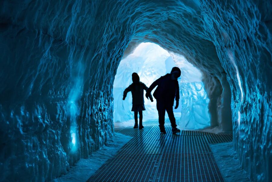 Reykjavík: Hop-On Hop-Off Bus and Perlan Museum Entry Ticket - Should you book it?