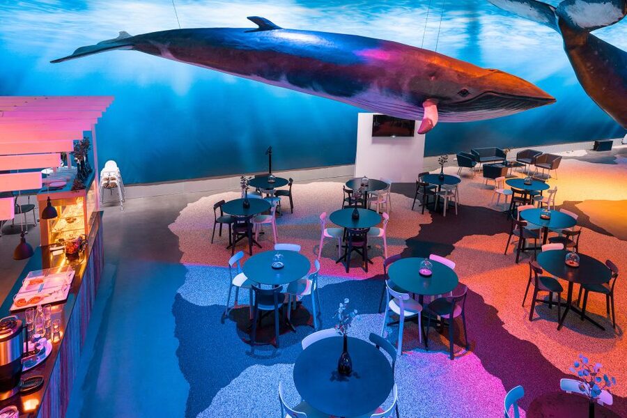 Reykjavik: Whales of Iceland Museum Entrance Ticket - A simple way to plan your visit