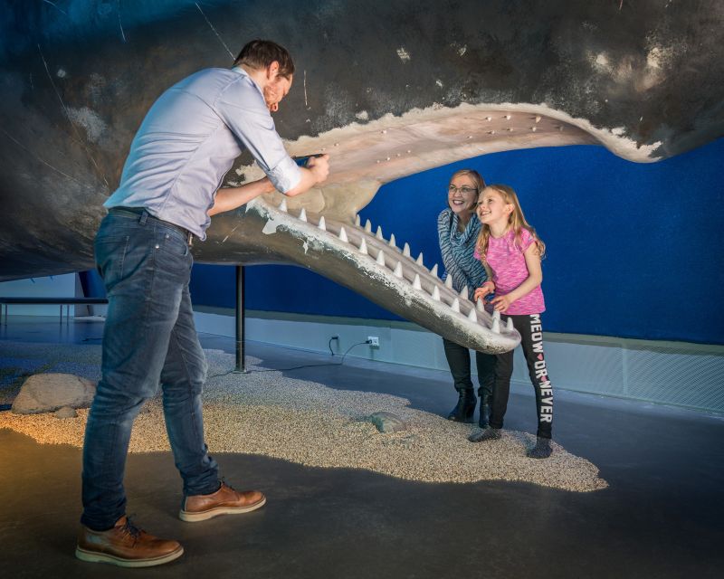 Reykjavik: Whales of Iceland Museum Entrance Ticket - Best for families, curious adults, and wet weather
