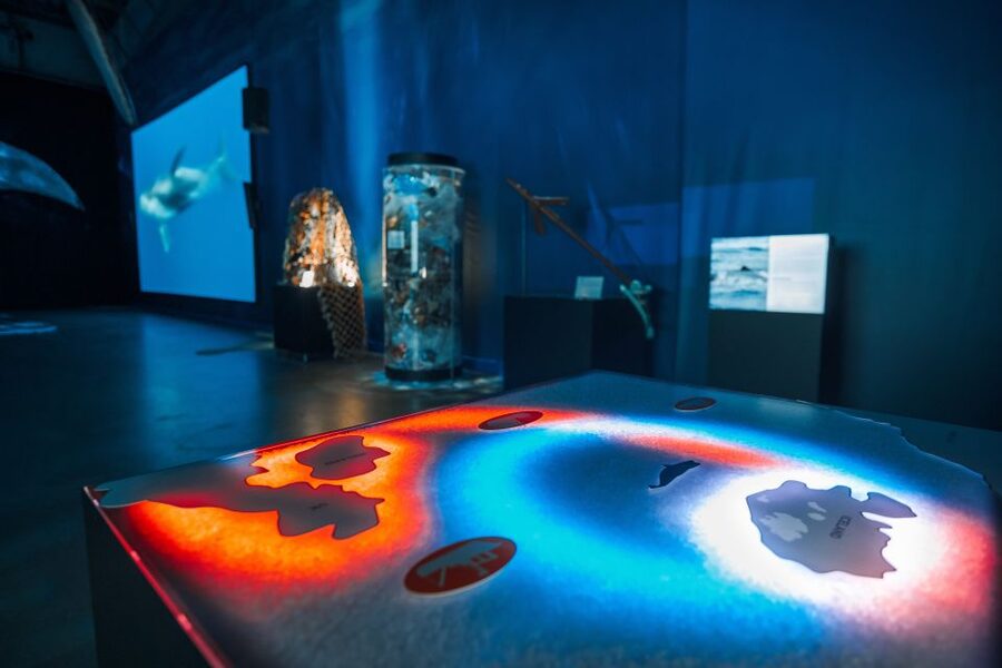 Reykjavik: Whales of Iceland Museum Entrance Ticket - What the exhibits teach you about whales