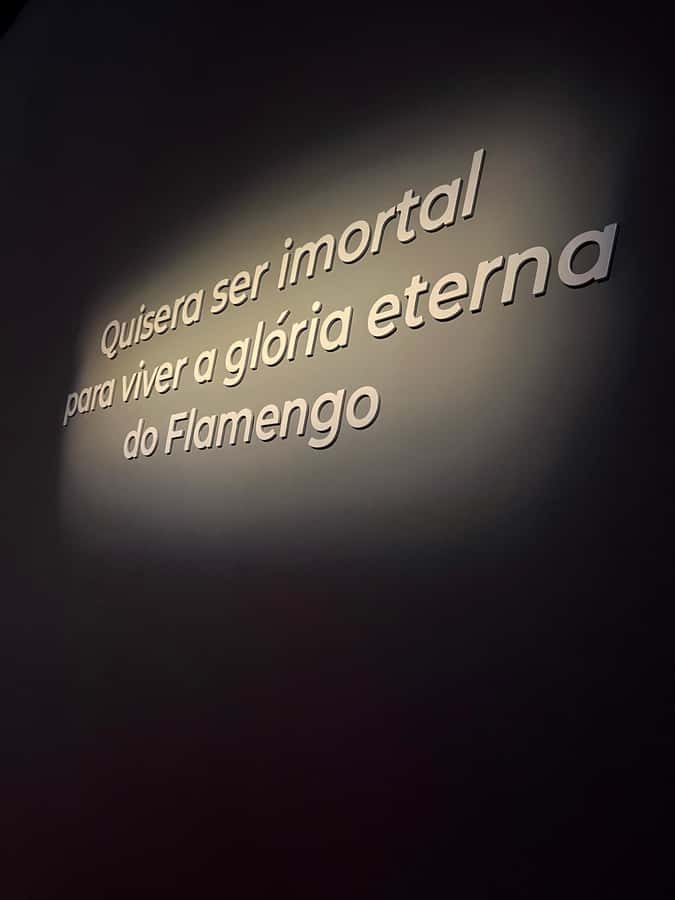 Rio de Janeiro: Flamengo Museum Ticket Entrance - Key points to know before visiting