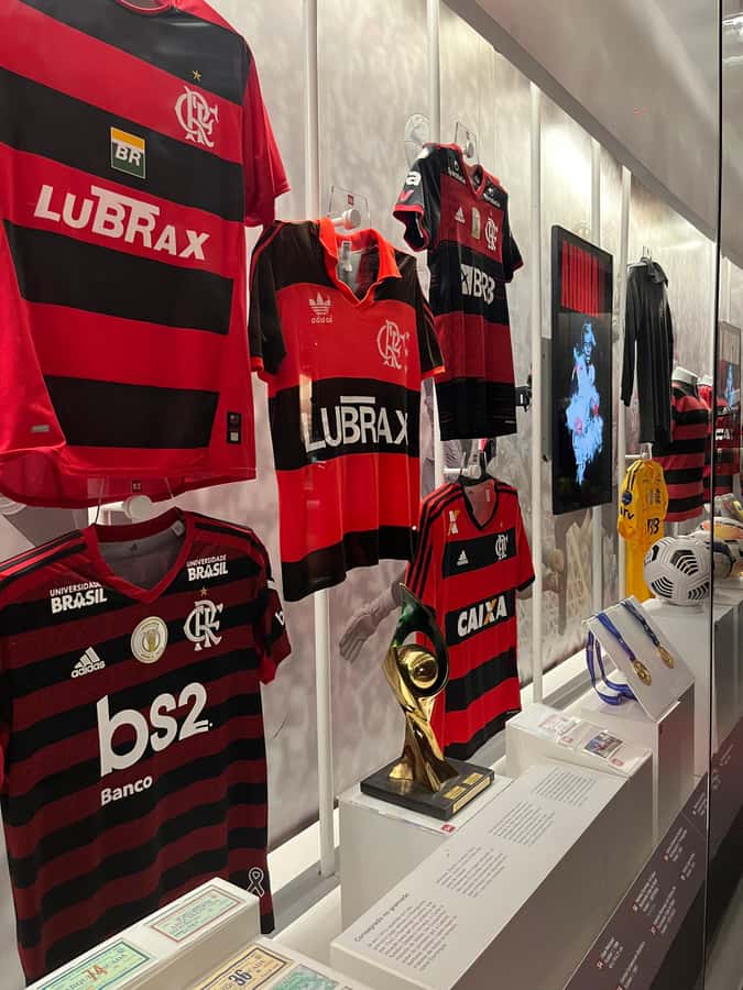 Rio de Janeiro: Flamengo Museum Ticket Entrance - Idols from several sports, not only football