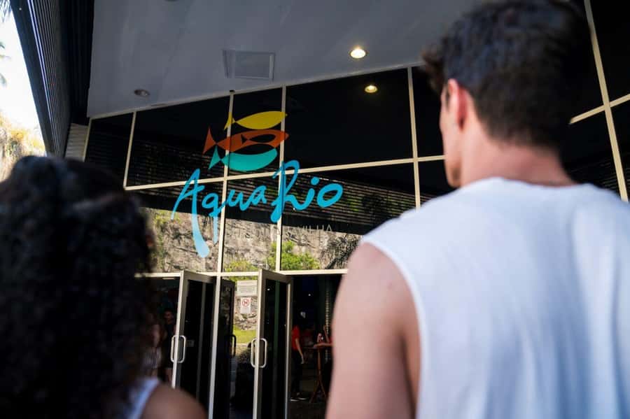 Rio: Olympic Boulevard, AquaRio and Museum of Tomorrow Tour - Why Olympic Boulevard is worth your morning