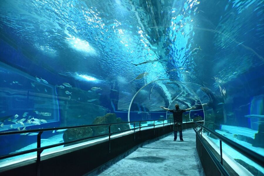 Rio: Olympic Boulevard, AquaRio and Museum of Tomorrow Tour - What the $49 price includes