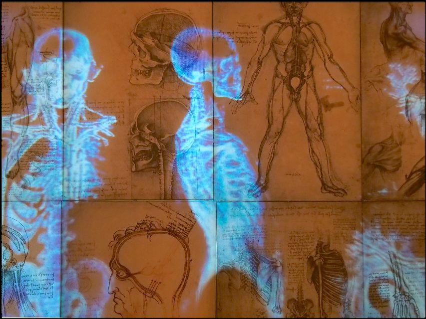 Rome: Private Leonardo da Vinci Exhibition Guided Tour - The 43 B.C. tomb below the palace