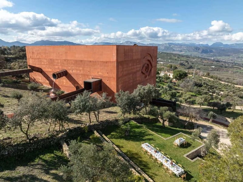 Ronda: LA Almazara LA Organic, Olive Oil Museum and Tasting - Staying for lunch on the terrace